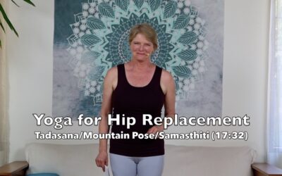 Mountain Pose / Tadasana / Samasthiti