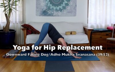 Downward Facing Dog / Adho Mukha Svanasana (39:52)