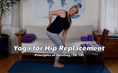 Principles of Twisting